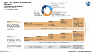 Gina 2024 Adultsadolescents12plus