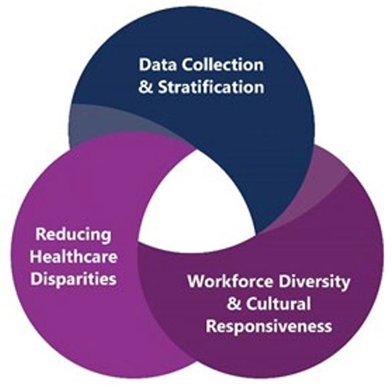 Department Of Health Care Services’ (dhcs) Framework For Health Equity
